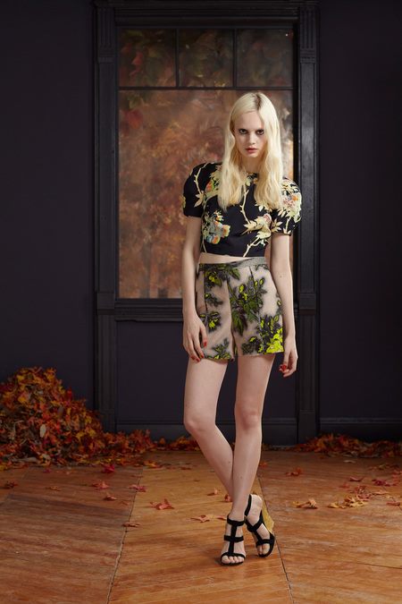 images/cast/10151142108077035=Pre-Fall 2013 COLOUR'S COMPANY fabrics printed x=honor n.y